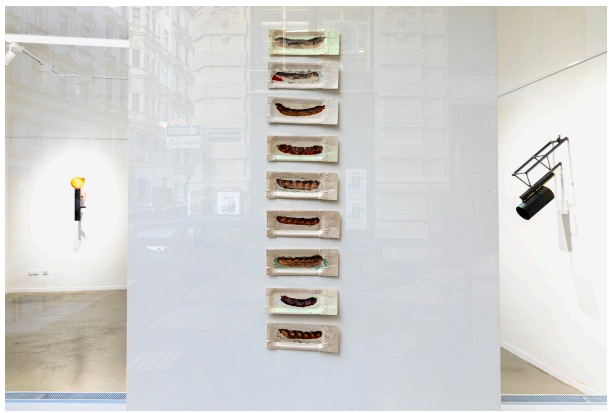 Antony Valerian Ausstellung Würste Wien
